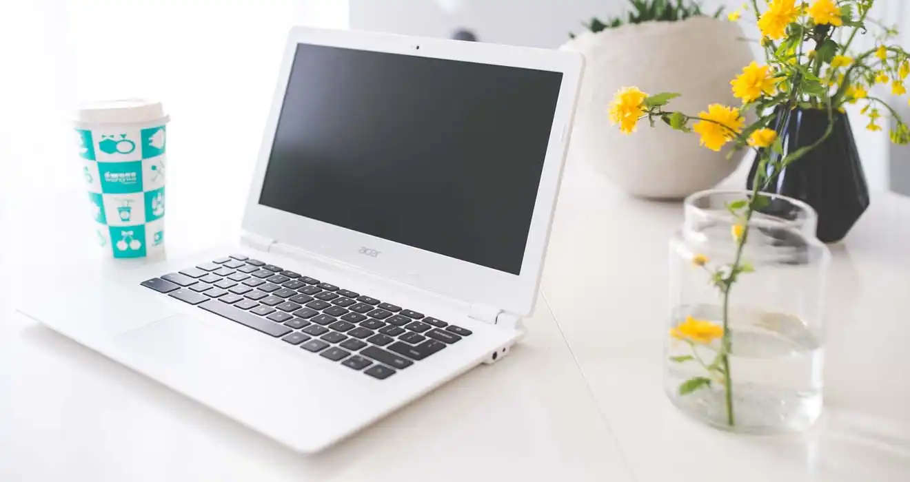 Ремонт ноутбуков Acer в Барнауле